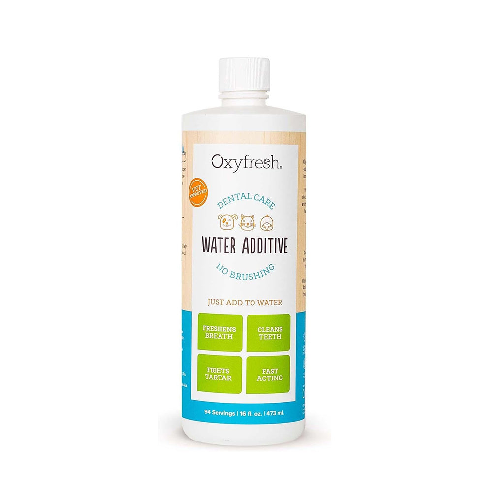 Premium Pet Dental Care Solution – Water Additive for Dogs & Cats, Eliminates Bad Breath, Fights Plaque & Tartar, Vet Recommended, 16 oz -  Furball & Flourish