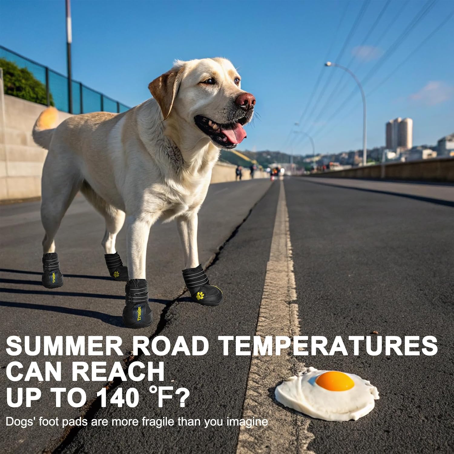 Dog Shoes for Large Dogs, Dog Shoes for Hot Pavement, Hiking Walking, Anti-Slip Rugged Sole,Waterproof Dog Booties for Outdoor Rain Days, All Weather Dog Boots & Paw Protectors (Black)