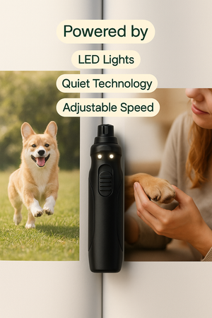 Dog Nail Grinder with 2 LED Lights – Quiet, Rechargeable & Professional Grooming Kit -  Furball & Flourish