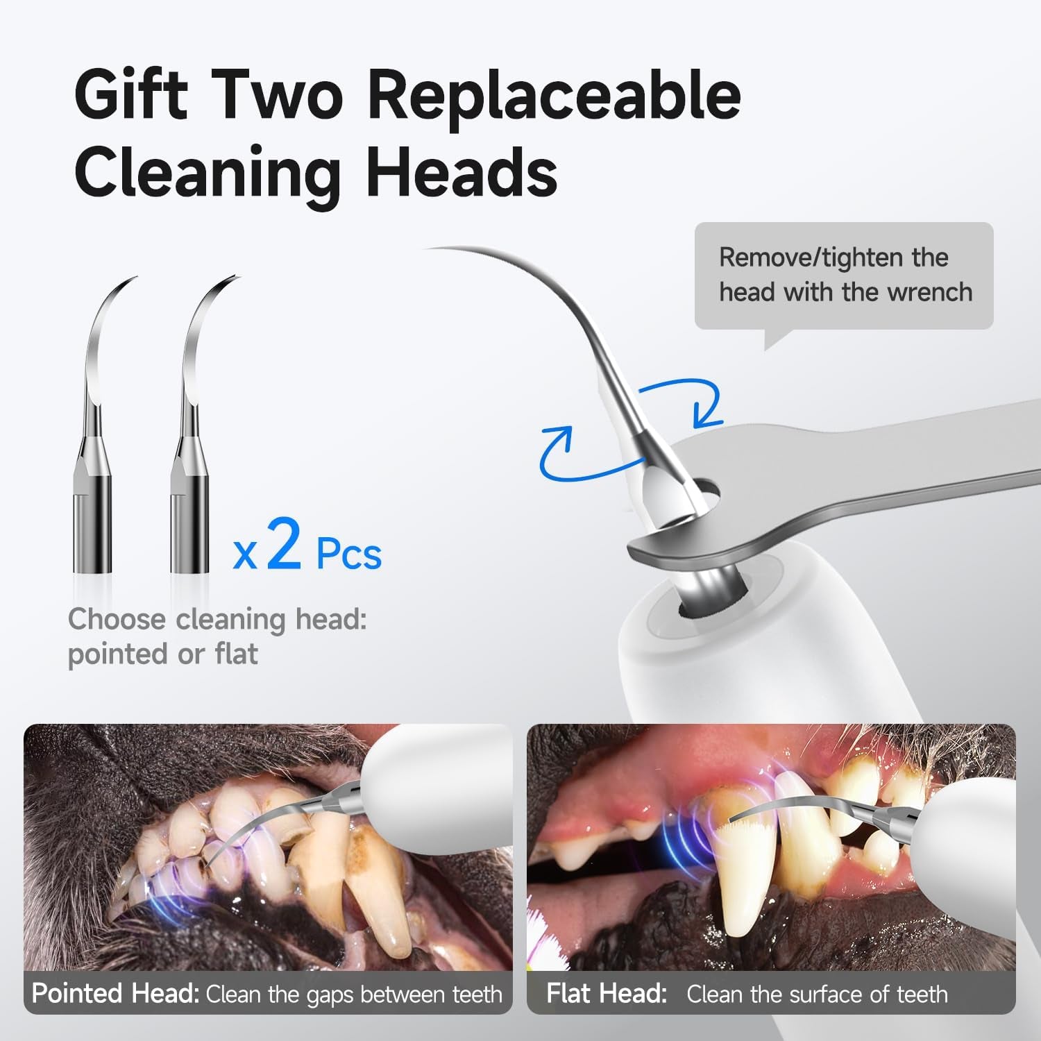 Electric Dog Plaque & Tartar Remover - Pet Teeth Cleaning Kit with LED Light, 5 Adjustable Modes, Safe and Low Noise – Easy Home Dental Care for Dogs and Cats