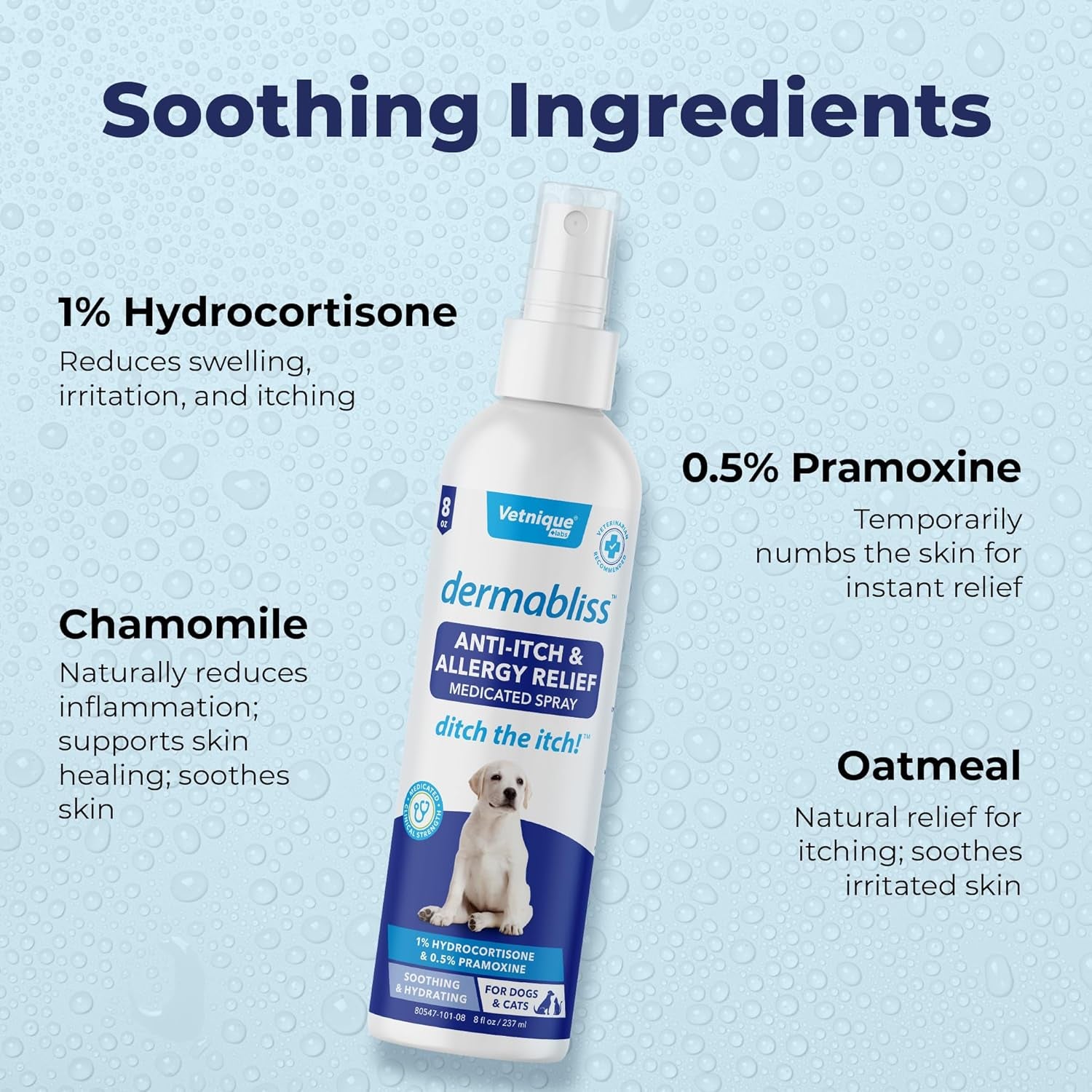 Dermabliss anti Itch Spray for Dogs & Cats with Hydrocortisone for Allergies and Immediate Dog Itching Skin Relief - Fragrance Free with Soothing Oat Extract (8Oz)