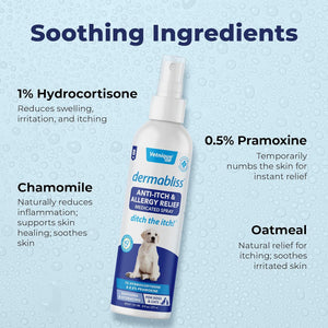 Dermabliss anti Itch Spray for Dogs & Cats with Hydrocortisone for Allergies and Immediate Dog Itching Skin Relief - Fragrance Free with Soothing Oat Extract (8Oz)