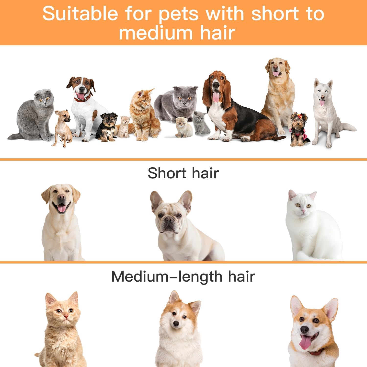Dog Grooming Vacuum, Dog Grooming Kit,12000Pa Strong Pet Vacuum, 2L Large Capacity Vacuum for Shedding Grooming Hair, Quiet,Pg100