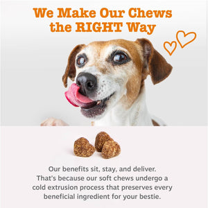 Dog Multivitamin, Chewable Dog Vitamins and Supplements for Hip & Joints, Skin & Coat, Omega 3 Fish Oil for Dogs- Senior & Puppy Multivitamin- Chicken- 90Ct