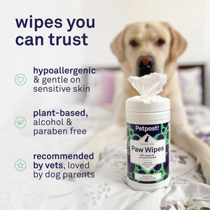 Paw Wipes for Dogs | 70 Count Dog Paw Cleaner Wipes with Coconut Oil, Jojoba Oil & Aloe | Gentle Pet Wipes for Paws | Large Ultra Soft Cotton Pads, Cherry Blossom Scent