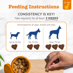 Dog Multivitamin, Chewable Dog Vitamins and Supplements for Hip & Joints, Skin & Coat, Omega 3 Fish Oil for Dogs- Senior & Puppy Multivitamin- Chicken- 90Ct