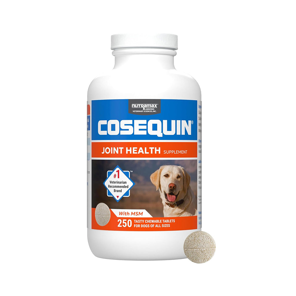 Nutramax Cosequin Joint Health Supplement for Dogs with Glucosamine, Chondroitin & MSM – 250 Chewable Tablets