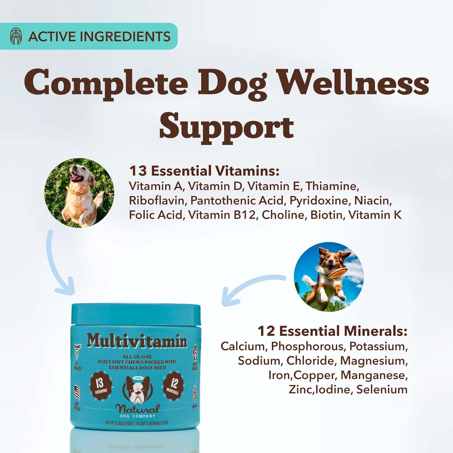 Multivitamin Chews (180 Pcs) Dog Vitamins & Supplements, Peanut Butter & Bacon Flavor, Dogs, Supports Immune System, Antioxidant, Vitaminas Para Perros, Multi Dog Families