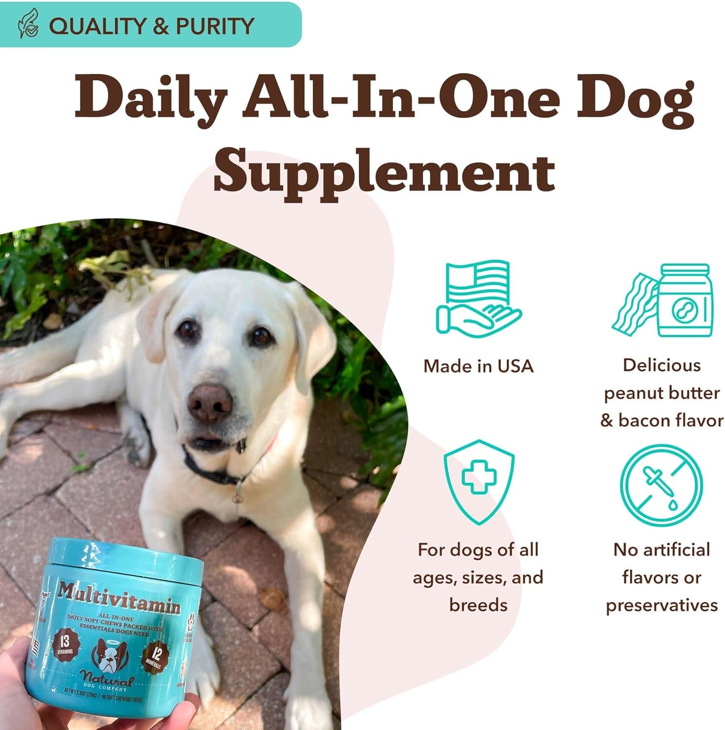 Multivitamin Chews (180 Pcs) Dog Vitamins & Supplements, Peanut Butter & Bacon Flavor, Dogs, Supports Immune System, Antioxidant, Vitaminas Para Perros, Multi Dog Families