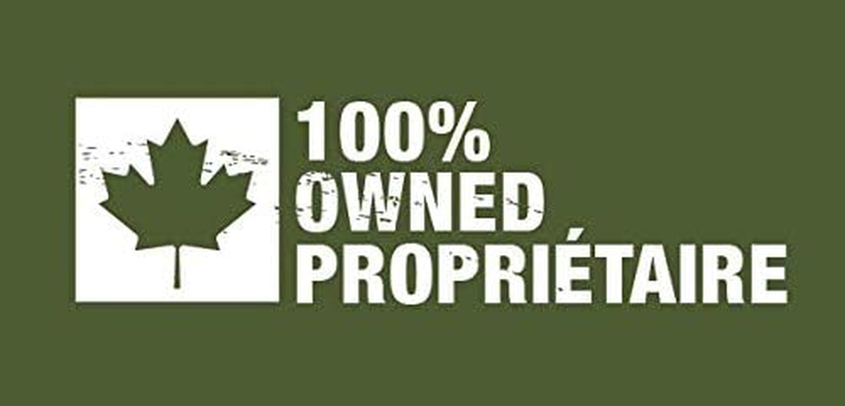 Beef Freeze Dried Dog Food • Topper, 20 Ingredients, Made in USA, 10Oz